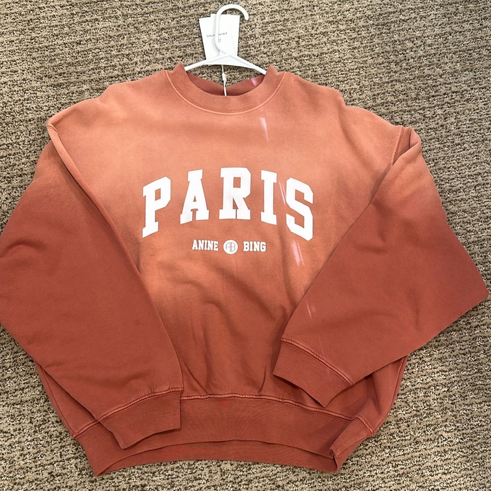 Anine Bing Paris Graphic Sweatshirt in Burnt Orange